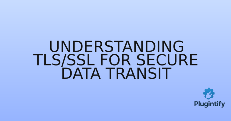 Read more about the article Understanding TLS/SSL for Secure Data Transit