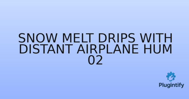 Read more about the article Snow Melt Drips with Distant Airplane Hum 02