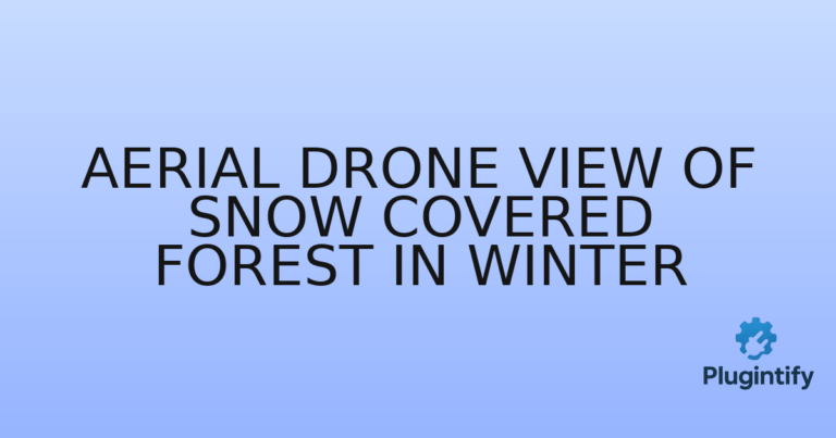 Read more about the article Aerial Drone View of Snow Covered Forest in Winter